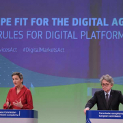 The EU Digital Services Act Overview and Opportunities